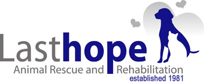 Last Hope Animal Rescue and Rehabilition Last Hope Animal Rescue and Rehabilitation